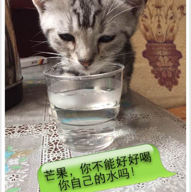 工商银行流水电子版PDF怎么仿制